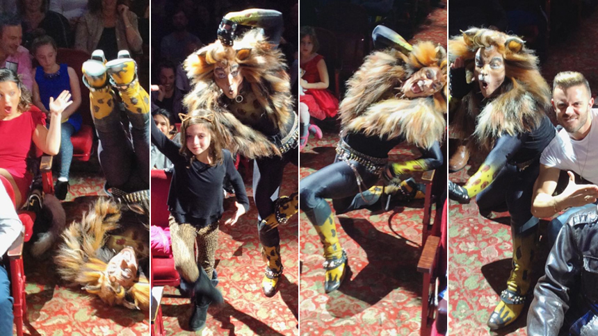 25 Official Rum Tum Tugger Grams That Give Us Major Life