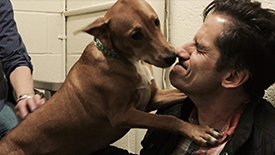 The Starry Broadway Cast of Best in Shows Imagines the Celebrity Personalities & Alter Egos of Their Own Pets