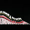Christmas Spectacular Starring The Radio City Rockettes