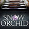 Snow Orchid