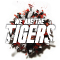 We Are The Tigers