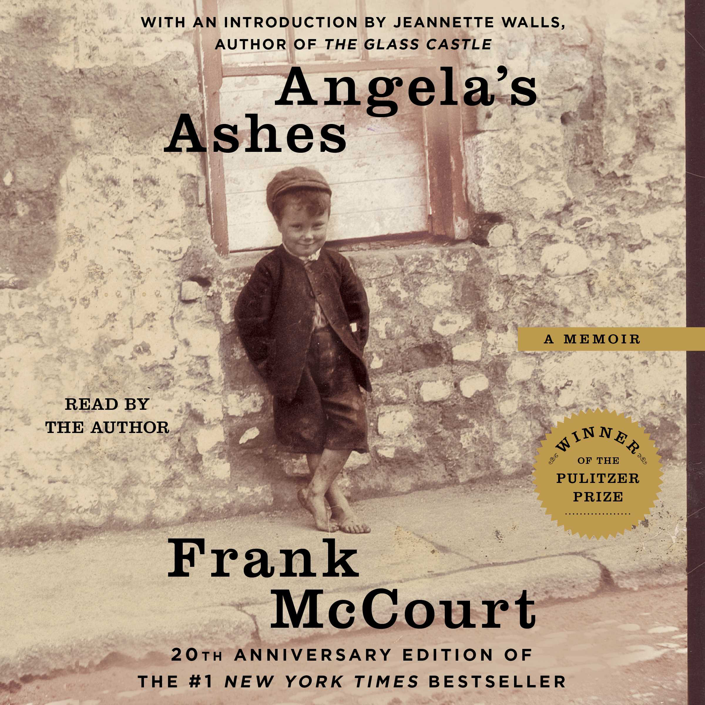 Angela's ashes book