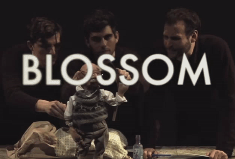 Blossom- GIF- Spencer Lott
