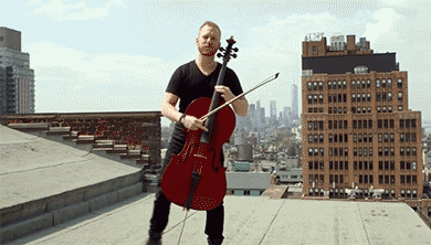 Daniel Shevlin GIF- Well Strung- GIF