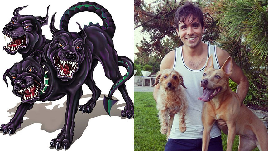 Matt Doyle and Dogs