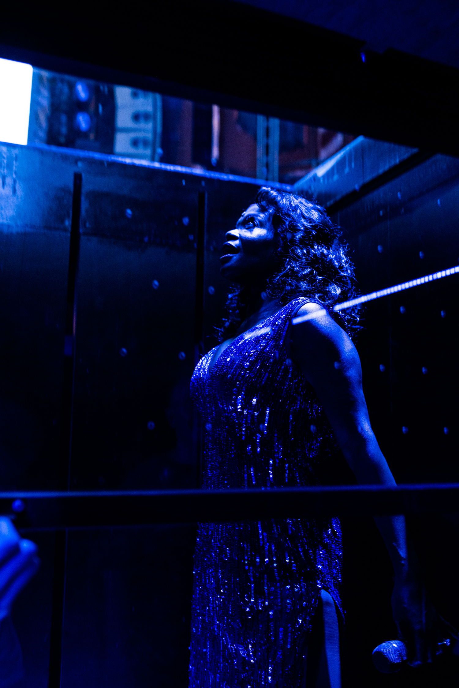 The Donna Summer Musical Broadway Backstage-Jenny Anderson Photography-BroadwayBox-LaChanze
