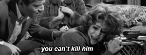 Elizabeth Taylor- Virginia Woolf GIF