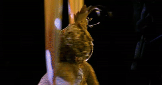 Laura Michelle Kelly- GIF- Lord of the Rings GIF