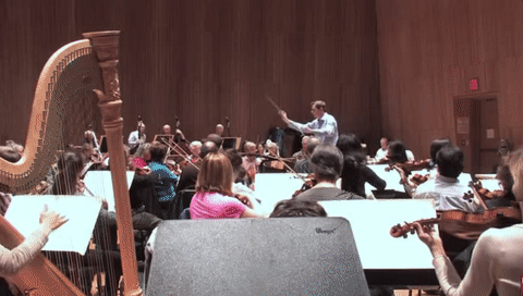 New York Pops GIF- Steven Reineke GIF