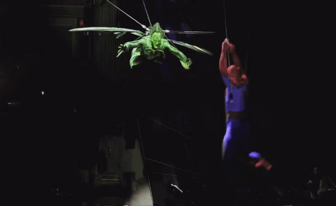Spiderman Turn off the Dark GIF- Fight GIF