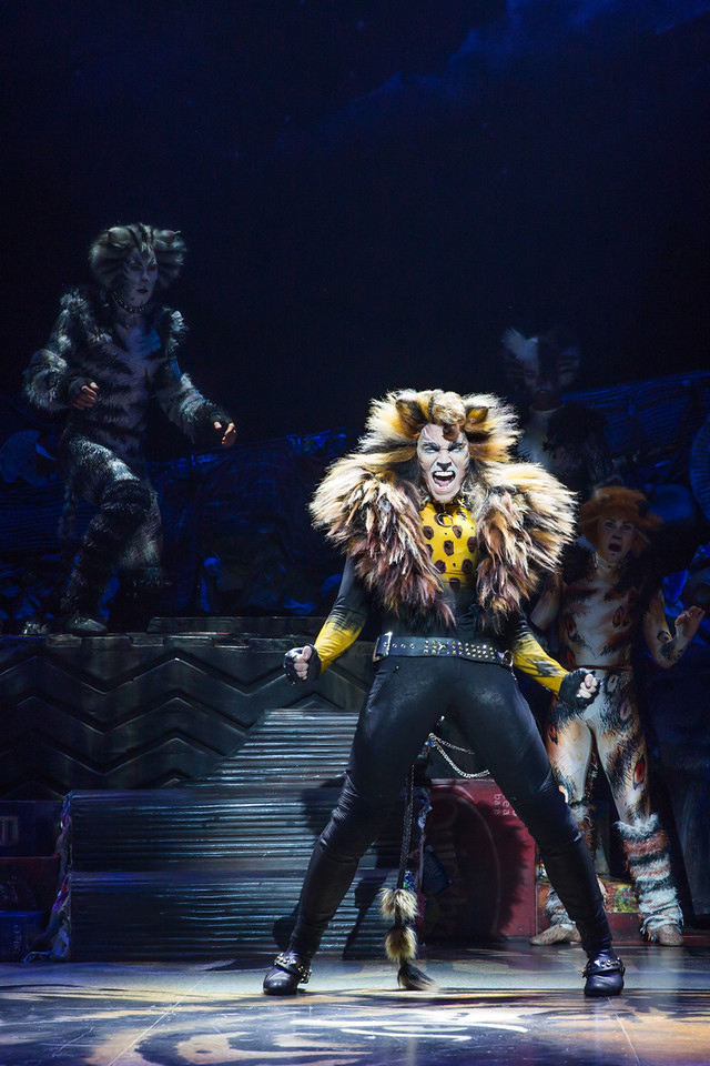 Tyler Hanes- Rum Tum Tugger