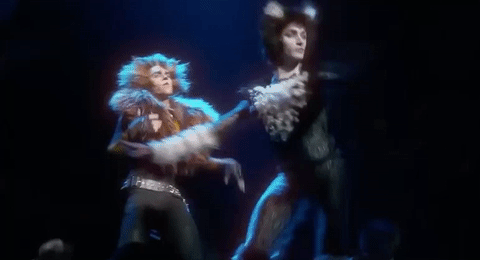 Tyler Hanes GIF- Cats GIF- Rum Tum Tugger GIF