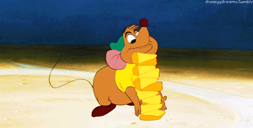 Gus Gus Cheese GIF