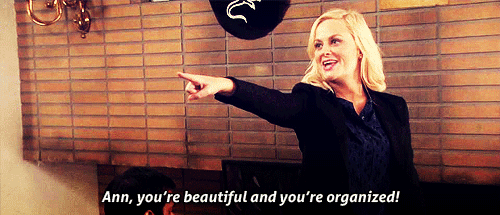 Organized Amy Schumer GIF
