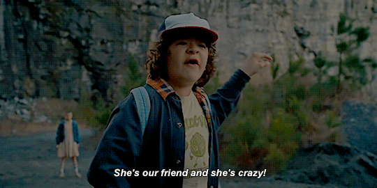 Dustin Stranger THings GIF